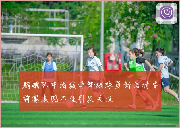鹈鹕队申请裁掉锋线球员舒马特季前赛表现不佳引发关注