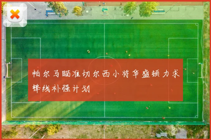 帕尔马瞄准切尔西小将华盛顿力求锋线补强计划