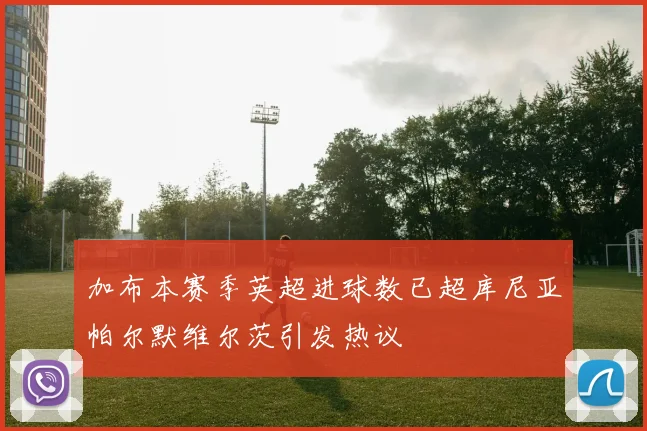 加布本赛季英超进球数已超库尼亚帕尔默维尔茨引发热议