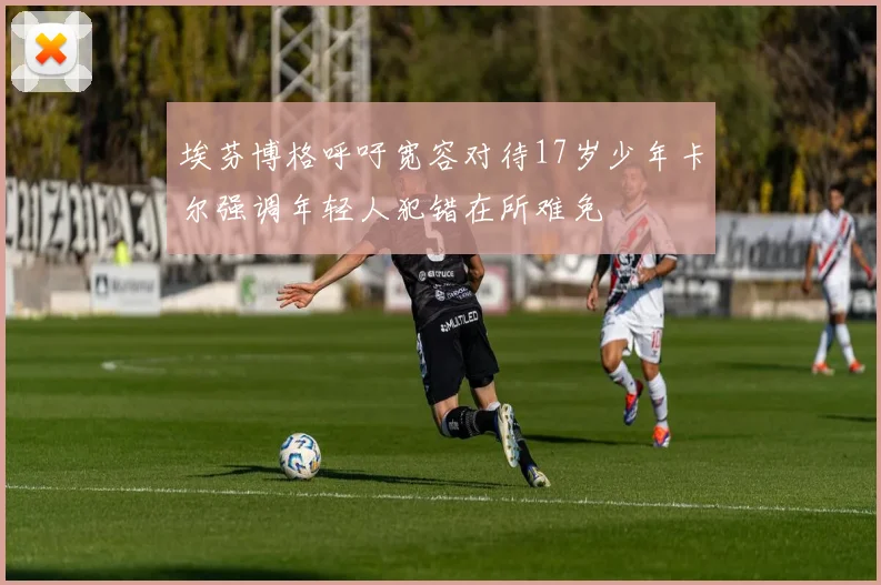 埃芬博格呼吁宽容对待17岁少年卡尔强调年轻人犯错在所难免
